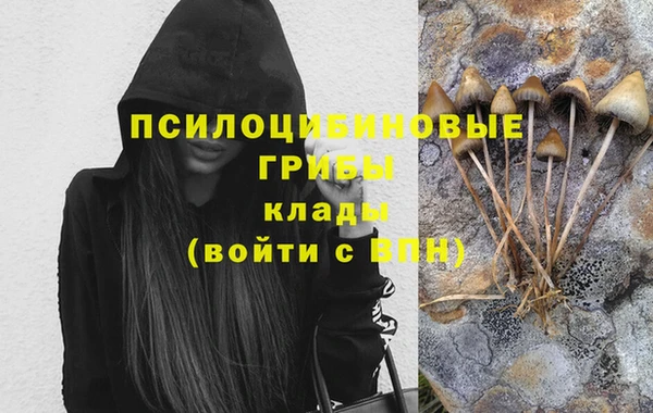 эйфоретик Навашино