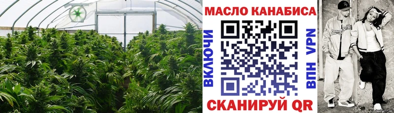ТГК Wax  Бологое 