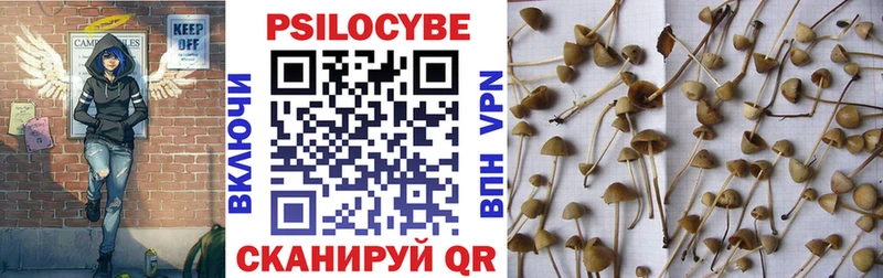 площадка состав  Бологое  Псилоцибиновые грибы мухоморы 
