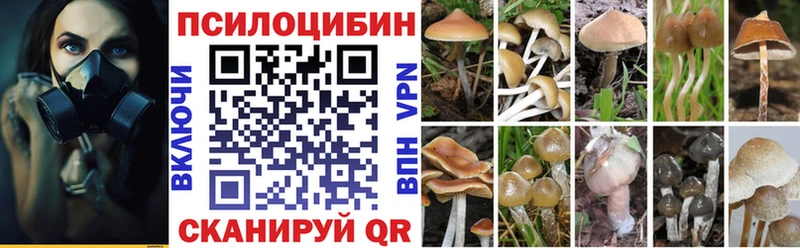 Псилоцибиновые грибы ЛСД Бологое
