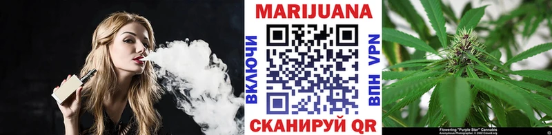 Конопля MAZAR Бологое